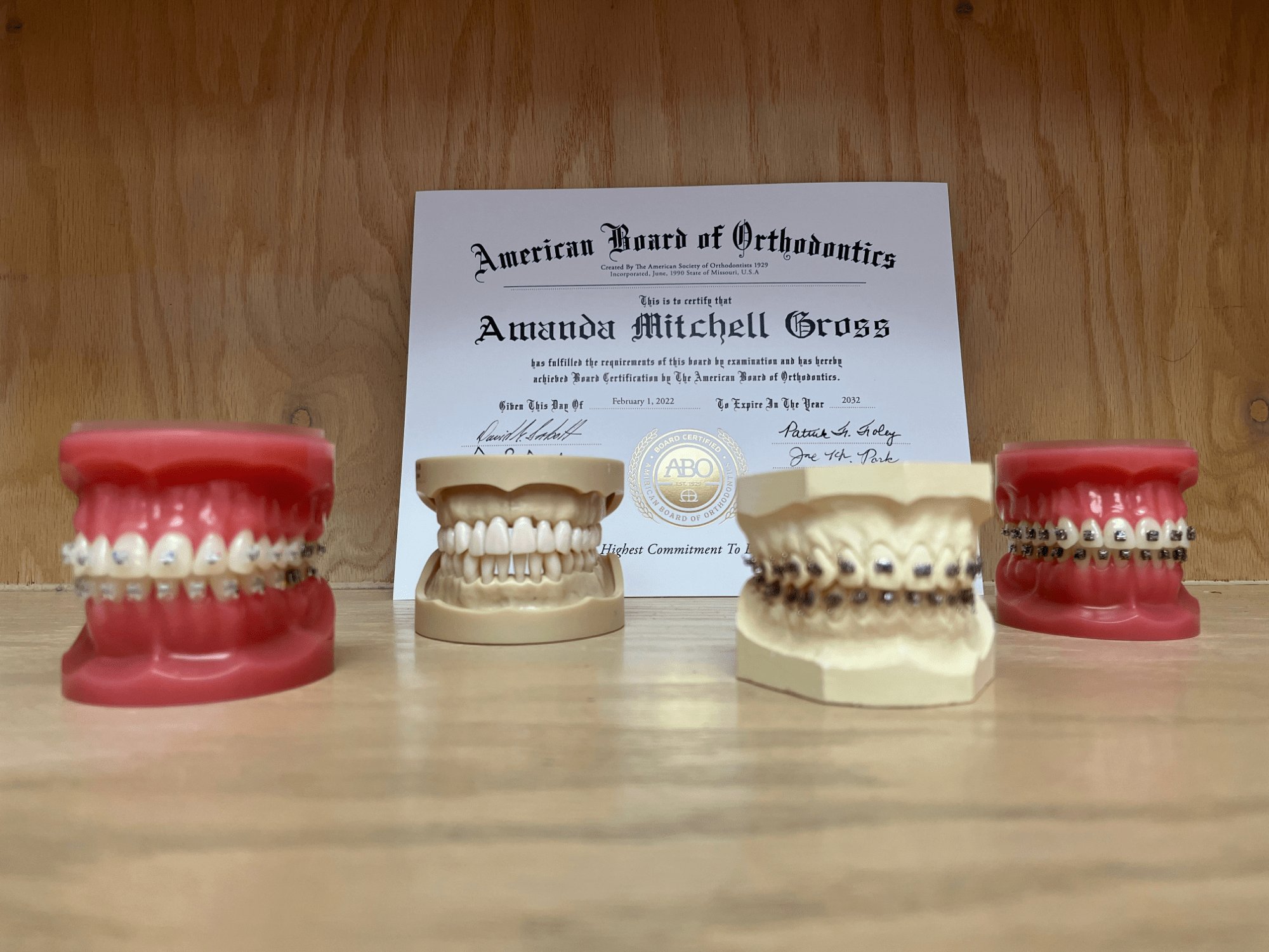 braces models image